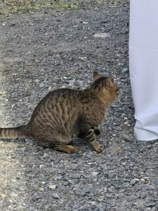 梅宮大社(京都府)