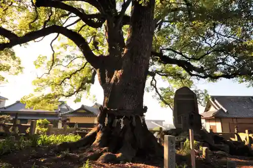 天皇寺(香川県)