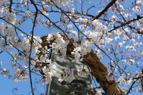 伊勢山皇大神宮の自然