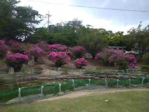 國鉾神社の庭園