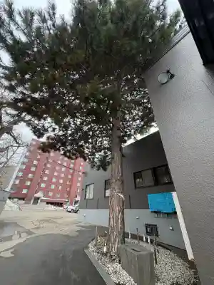 手稲神社の{uncategorized: "未分類", other: "その他", undefined: "問題あり", building: "その他建物", grave: "お墓", sacred_gate: "鳥居", guardian: "狛犬", statue: "像", buddha: "仏像", history: "歴史", nature: "自然", garden: "庭園", animal: "動物", pagoda: "塔", temizu: "手水舎", mountain_gate: "山門・神門", sanctuary: "本殿・本堂", subordinate: "末社・摂社", art: "芸術", scenery: "景色", jizo: "地蔵", ema: "絵馬", goshuin: "御朱印", omikuji: "おみくじ", items: "授与品その他", amulet: "お守り", goshuincho: "御朱印帳", eats: "食事", festival: "お祭り", votive_dance: "神楽", shichigosan: "七五三参", wedding: "結婚式", experience: "体験その他", initially: "初詣", around: "周辺", anti_infection: "感染症対策"}