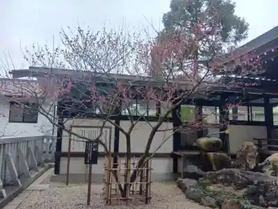 加納天満宮(岐阜県)