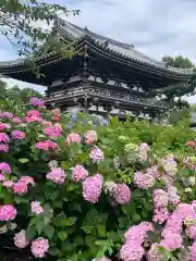 観音寺(京都府)