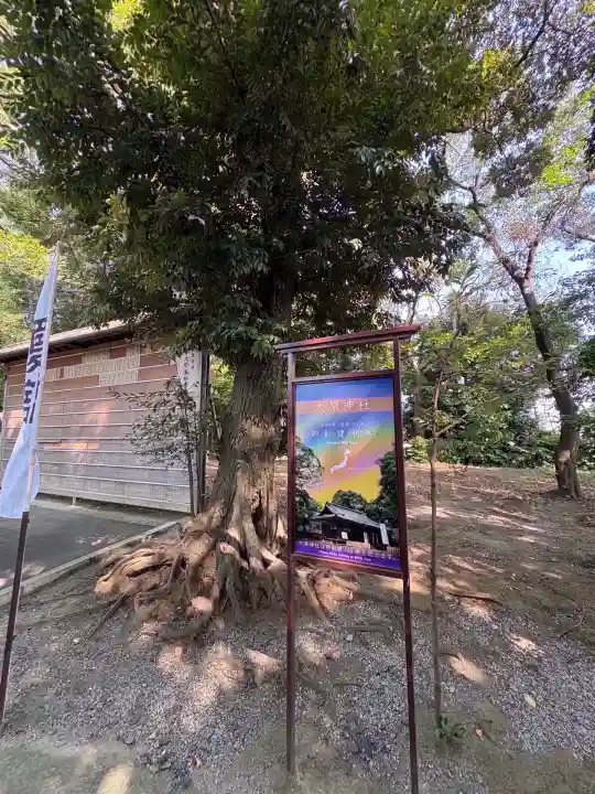 大宮・大原神社(千葉県)