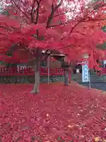 札幌伏見稲荷神社(北海道)