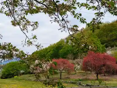 岩松院(長野県)