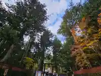 日光東照宮(栃木県)