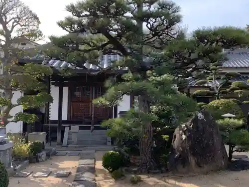 報恩寺の庭園