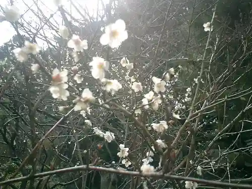 安國論寺（安国論寺）の自然