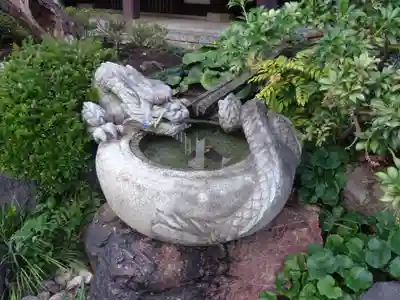 妙蓮寺の手水舎