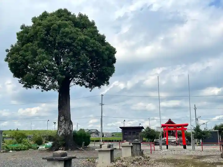 稲荷神社(三重県)