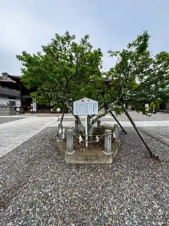 矢奈比賣神社(見付天神)(静岡県)