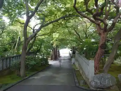 道場寺の周辺