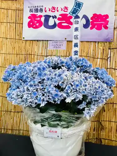 長國寺のお祭り