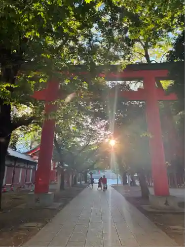 花園神社の鳥居
