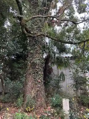 伊達神社（宇津根町鎮座）(京都府)