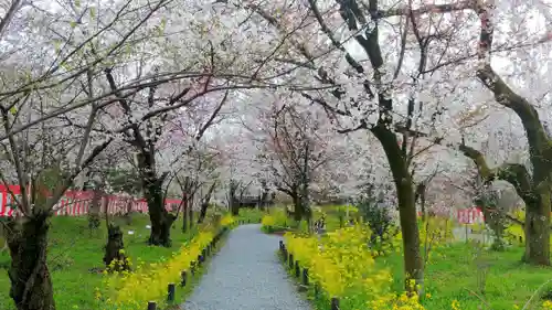 平野神社の自然