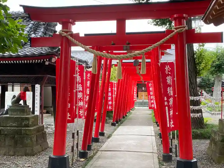 於菊稲荷神社(群馬県)