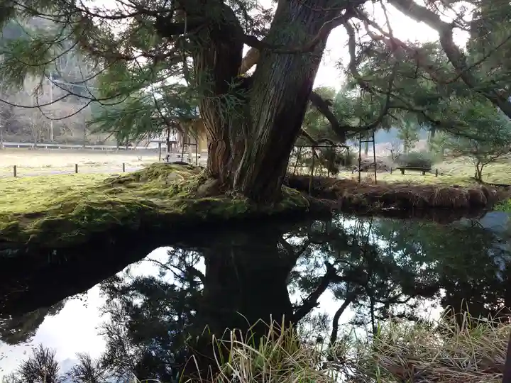 一本杉神社(島根県)