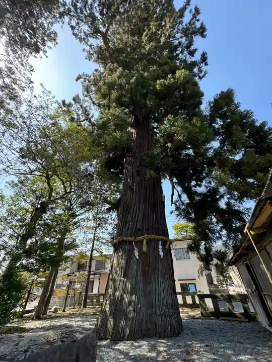 飛驒一宮水無神社(岐阜県)