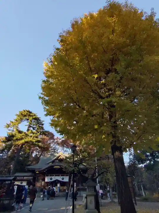 布多天神社(東京都)