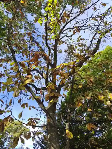 厚別神社(北海道)