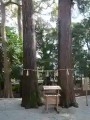 相鹿上神社の自然