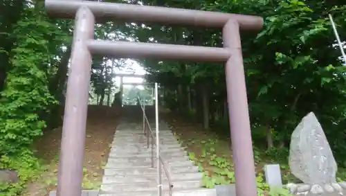 大鳥神社の鳥居