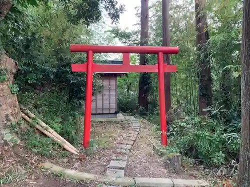 安房洲神社の鳥居