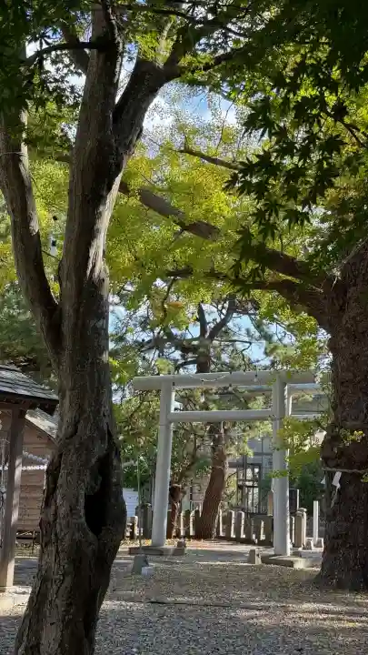 有川大神宮(北海道)