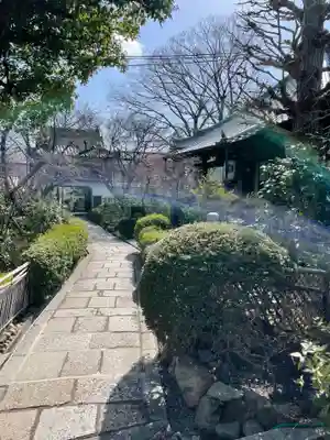 元慶寺(京都府)