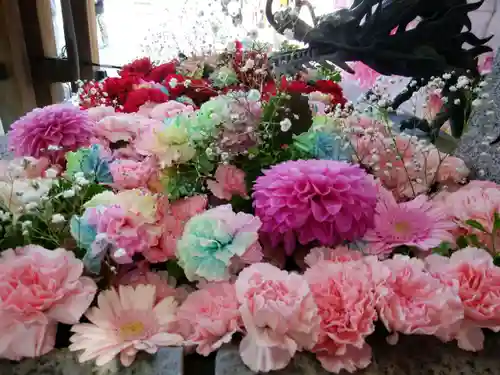 札幌諏訪神社の手水舎