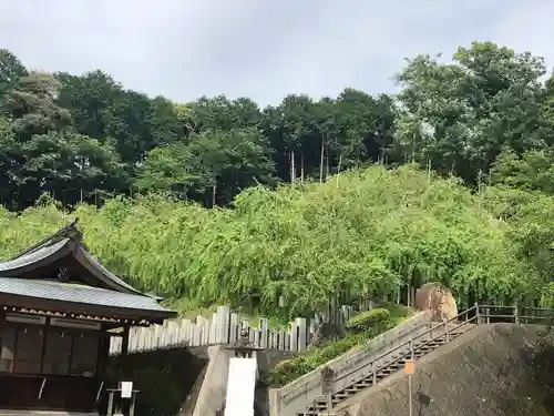 大縣神社の自然