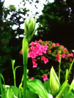 瑞円寺(東京都)