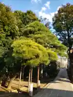 実相寺のその他建物