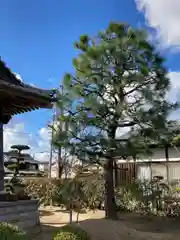 善福寺の自然