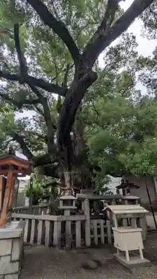 杭全神社(大阪府)