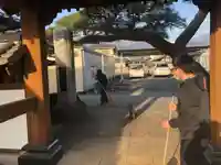 法源寺の体験その他