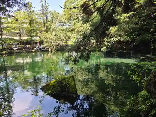 涌釜神社(栃木県)
