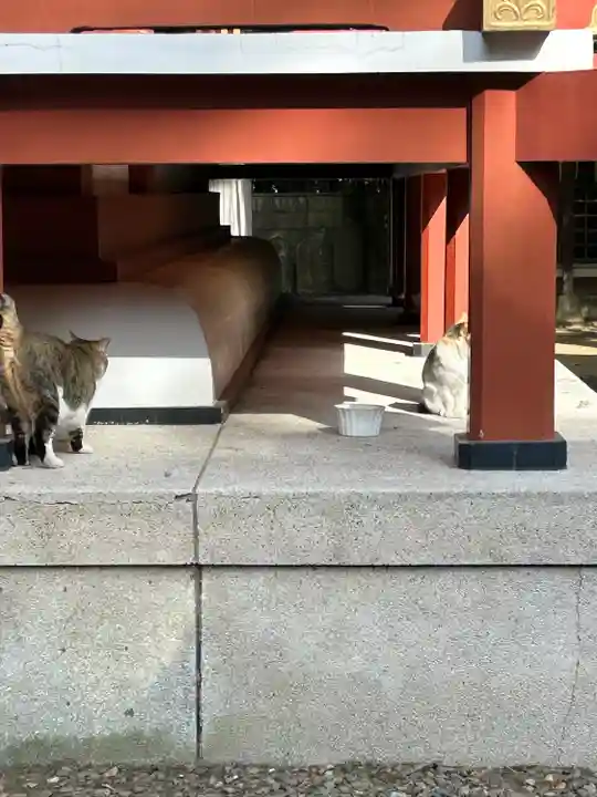 柏諏訪神社(千葉県)