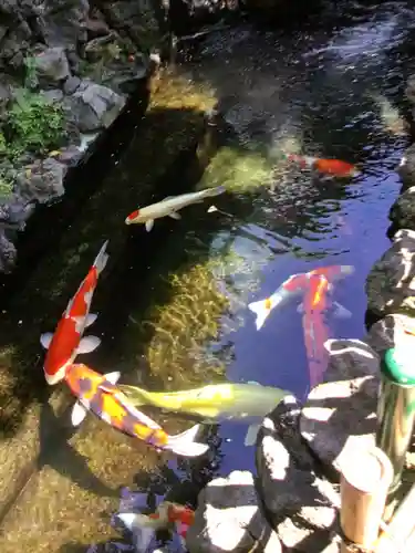 吉原弁財天本宮（吉原神社奥宮）(東京都)