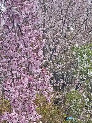 六孫王神社(京都府)