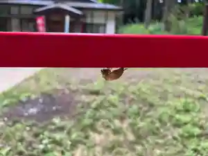大宮温泉神社(栃木県)(2022年07月10日(日) 07時52分00秒投稿)