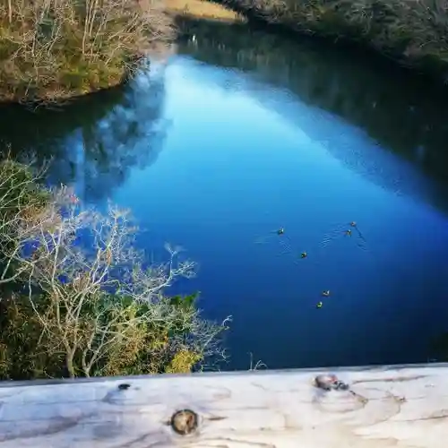 大生神社の自然