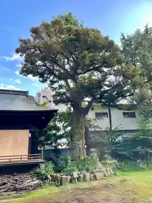大森山王日枝神社(東京都)
