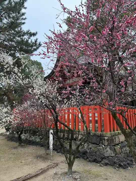 佐太神社(佐太天神宮)(大阪府)