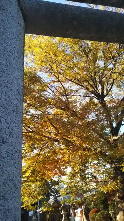 千方神社の自然