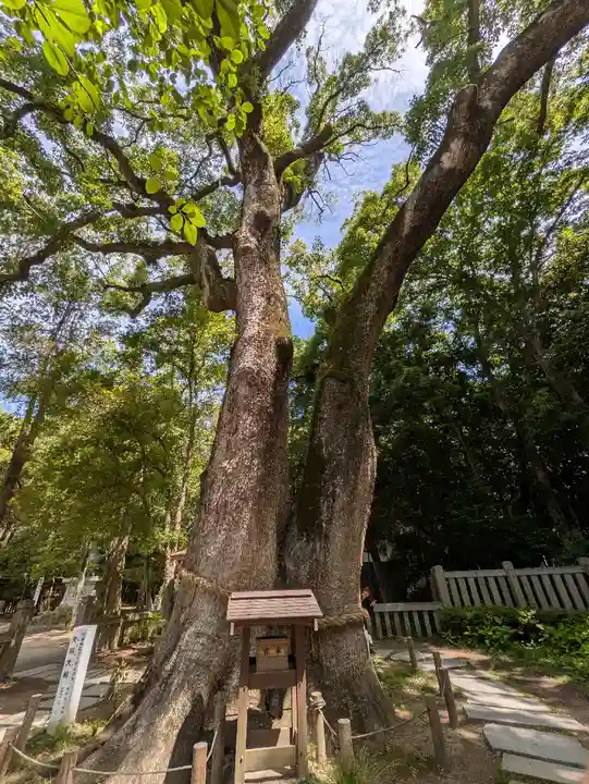 伊弉諾神宮(兵庫県)