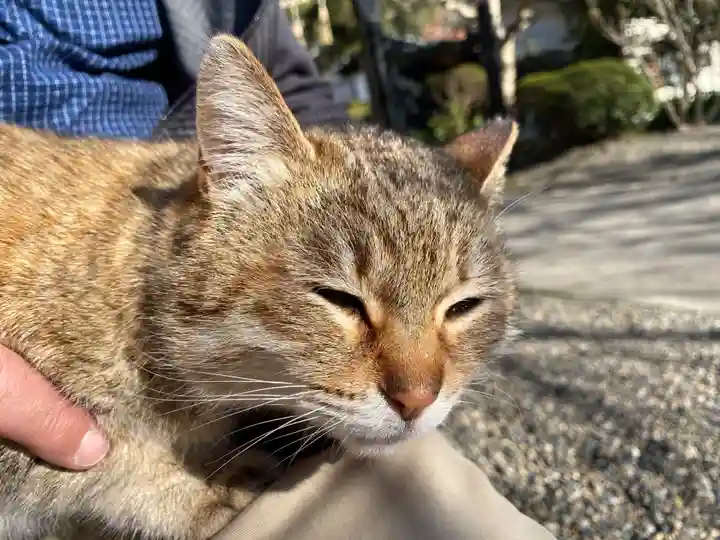 真野寺(千葉県)