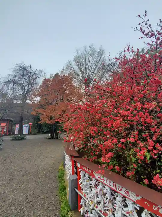 冠稲荷神社の自然